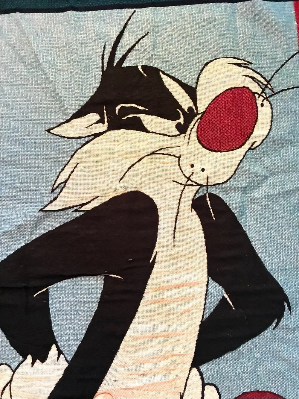 Vintage 1999 Warner Bros Official Merch Sylvester Tweety Throw 48x60